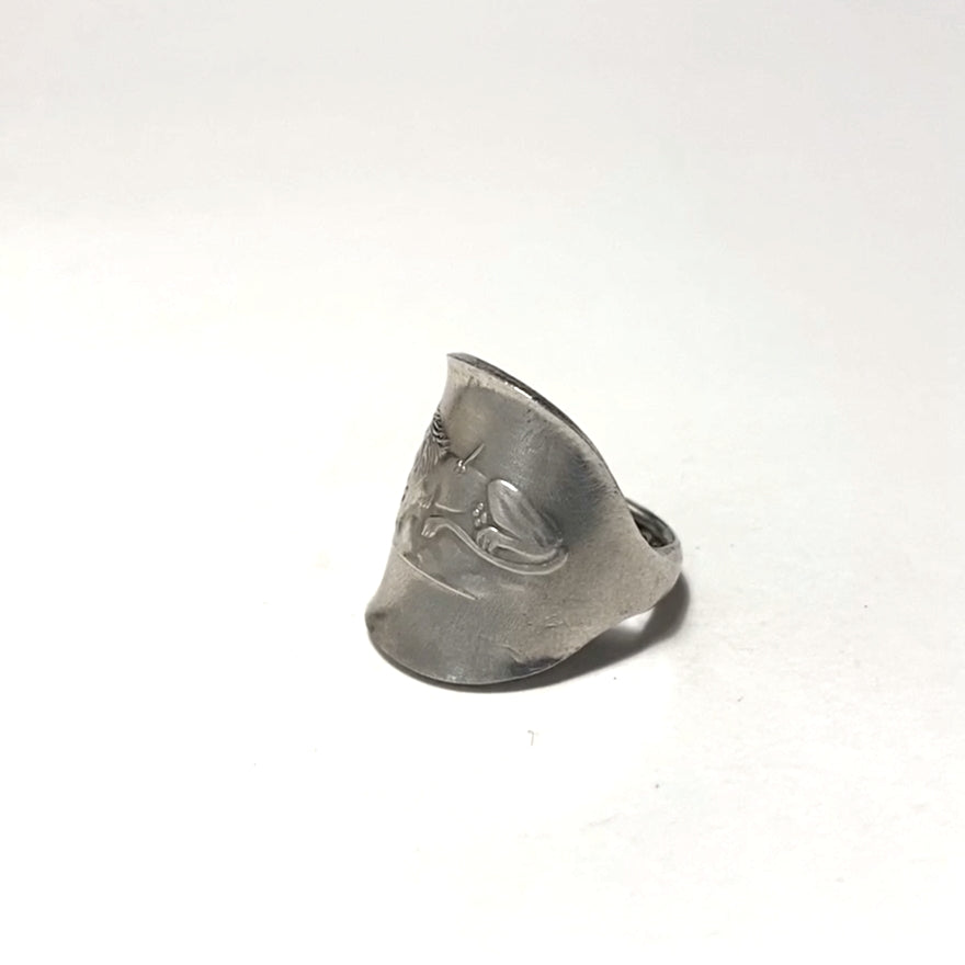Spoon Ring No.3364 13号
