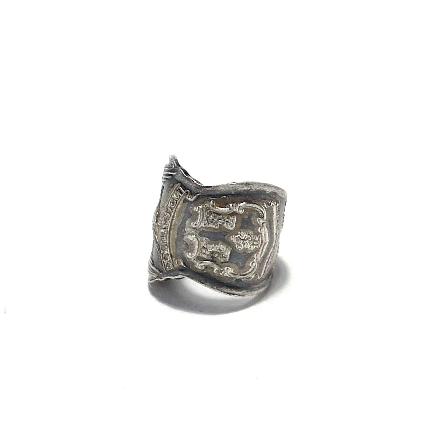 Spoon Ring No.4920 10号