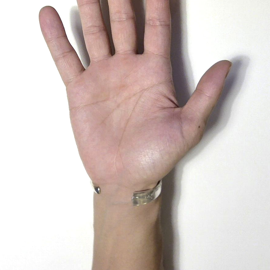 Spoon Bangle No.6874
