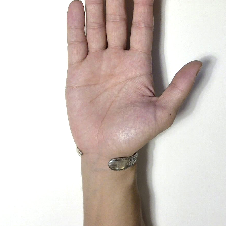 Spoon Bangle No.6879