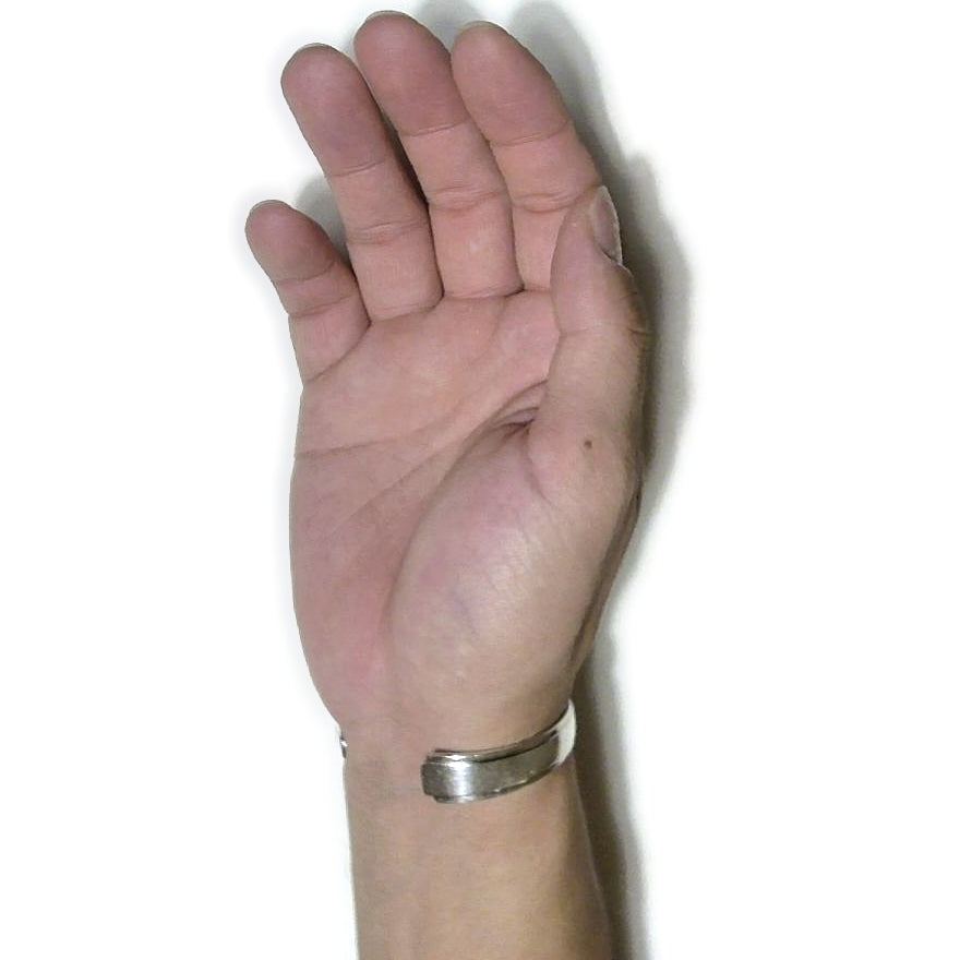 Spoon Bangle No.6963