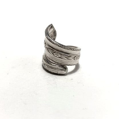 Spoon Ring　No.4581　9号