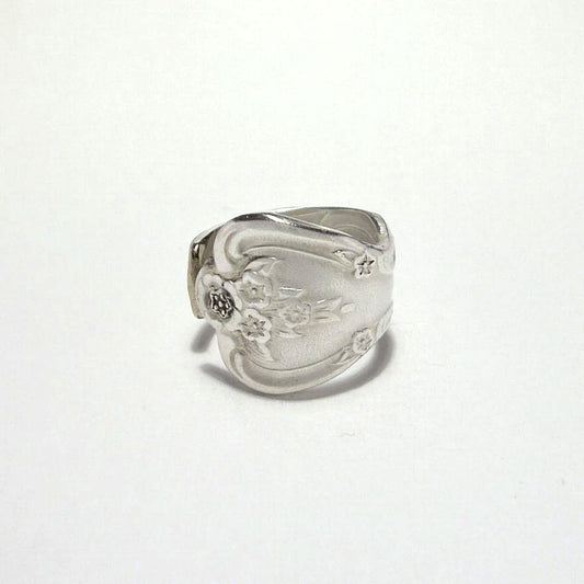 Spoon Ring　No.4834　17号