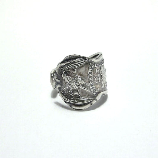 Spoon Ring　No.4873　20号