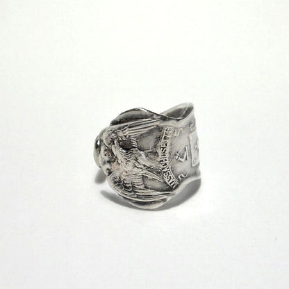 Spoon Ring　No.4876　20号
