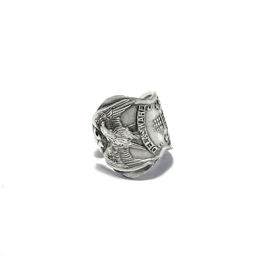 Spoon Ring　No.4916　10号