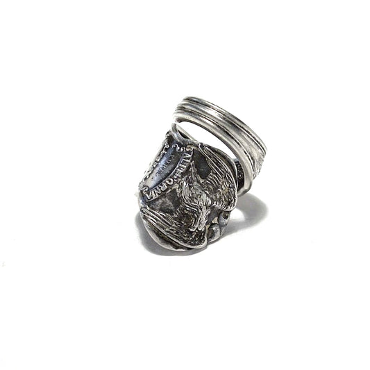 Spoon Ring　No.4941　11号