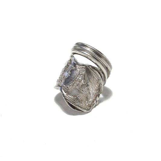 Spoon Ring　No.4942　10号
