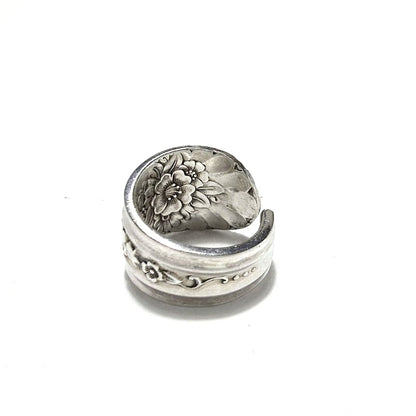 Spoon Ring　No.5562　19号