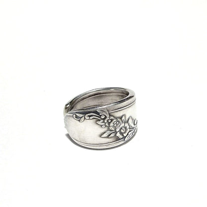 Spoon Ring　No.5649　19号