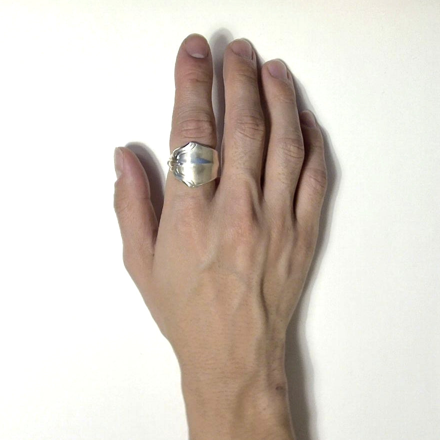 Spoon Ring　No.5841　20号