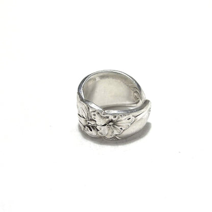 Spoon Ring　No.6640　16号