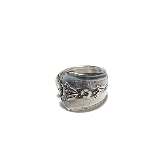 Spoon Ring　No.7379　9号